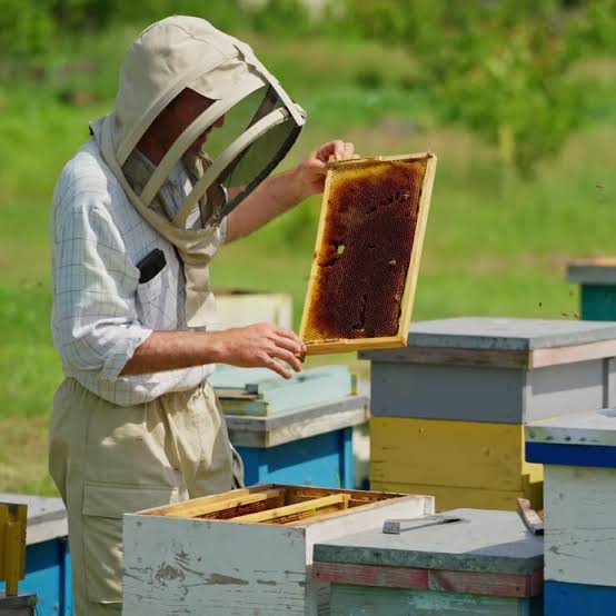 Farm honey